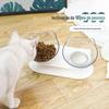 Tigela para Gato Transparente Tigela Dupla Tigela para Ração de Gato Tigela de Água Tigela para Ração de Gato Suporte para Tigela de Gato Tigela para Cachorro Tigela para Ração de Cachorro Boca Inclinada Proteção da Coluna