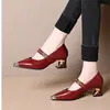 Novedad Primavera y Verano 2026 Estilo Francés Elegante Punta Fina Boca Baja Cadena Metálica Tacón Grueso Piel Suave Cómodas No Fatigantes Zapatos de Mujer
