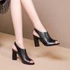 Sandálias para Mulheres 2026 Primavera e Verão Novo Estilo Vazado Sapatos de Salto Alto Sapatos Romanos Femininos Boca de Peixe Salto Grosso Moda Sapatos Romanos Femininos