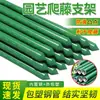 Treliça para pepino e feijão trepador, suporte de vara para tomate, andaime para frutas e vegetais, suporte de tubo de aço revestido específico para plantas