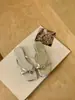 Chanclas Chuyuji de estilo coreano, sencillas, de tiras finas, para mujer, zapatos planos de verano para exteriores, sandalias de playa antideslizantes, para uso casual