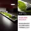 Mesa de Conferência Shanghai Meikong Micro-Paisagismo Mesa Longa Pinheiro de Boas-Vindas Ornatos Plantas Artificiais Decorativas Vegetação de Entrada Paisagismo Arranjo de Flores