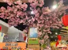 Ramas de flor de cerezo flor de durazno falsa plantas verdes de techo decoración enredaderas de flores de interior pared de celebridad de internet supermercado restaurante habitación cubierta superior fealdad
