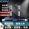 Amplificador de potencia Qi Sheng para el hogar, Bluetooth, fibra coaxial, cine en casa, KTV, karaoke, baile, sala de conferencias, karaoke, canción.