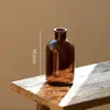 Vaso de Vidro Marrom Insulano Celebridade da Internet Retrô Arranjo de Flores Transparente Marrom Arranjo de Flores com Cultura de Água Ornamentos