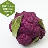 Modelos de Frutas y Verduras de Imitación para Montaje de Escenas, Decoraciones de Cocina, Accesorios de Fotografía y Decoración Suave Pastoral