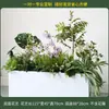 Caja de flores decoración flores y plantas arreglo floral producto terminado adorno de planta verde venta de restaurante oficina mampara canaleta de flores paisajismo biónico