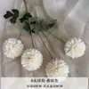 Flores Artificiales Color Champán para Bodas al Aire Libre, Decoraciones de Fondo de Boda, Adornos para Sala de Estar en Casa, de Alta Gama y Realistas