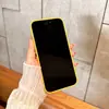 Aplicable a iPhone 18 Pro Max Funda de Teléfono Magnética con Anillo Fino de Tacto Suave para Apple 17 Cobertura Total de Lente Funda Protectora Anti-caídas