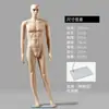 Maniquíes de cuerpo completo para ventana de tienda de ropa, para hombres y mujeres, con envío gratuito, modelo de vestido de novia, accesorios de exhibición