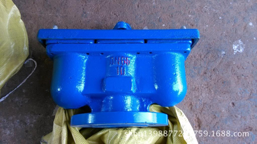 DN65双口排气阀1