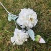 Venta al por mayor de flores de simulación de peonía reina para decoración de bodas, sala de estar, oficina, flores falsas