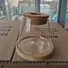 Botella Ecológica de Micro-Paisaje, Jarrón para Plantas Hidropónicas Suculentas, Decoración de Botella para Plantas Verdes de Interior, Maceta Decorativa de Vidrio para Espárragos