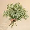 Hojas con Borde Blanco Simuladas, Centella Asiática Alpina, Decoración de Mesa de Sala de Estar, Adornos de Plantas Verdes, Ramos y Materiales, Hojas con Borde Blanco Simuladas
