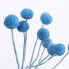 Ramo de Flores Secas Yunnan Bola Dorada Estilo Nórdico ins Adornos de Flores Eternas Flor Decorativa para Sala de Estar Accesorios para Sesión de Fotos Venta al por Mayor