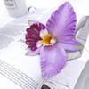 Simulación de cabeza de flor de Phalaenopsis Horquilla para el cabello Material de banda para el cabello Tocado Accesorios para el cabello Accesorios para zapatos Material Simulación de cabeza de flor de Cattleya Flor