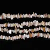 Cuentas de Ábaco Cilíndricas de Concha de Agua Dulce Natural Cuentas Sueltas Aleatorias Materiales para Accesorios DIY Pulsera con Cuentas Collar de Cuentas de Buda Lote