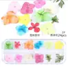 Unha seca flor transfronteiriça novo japonês unha desidratada laço flor seca eterna 3D tridimensional real flor unha jóias
