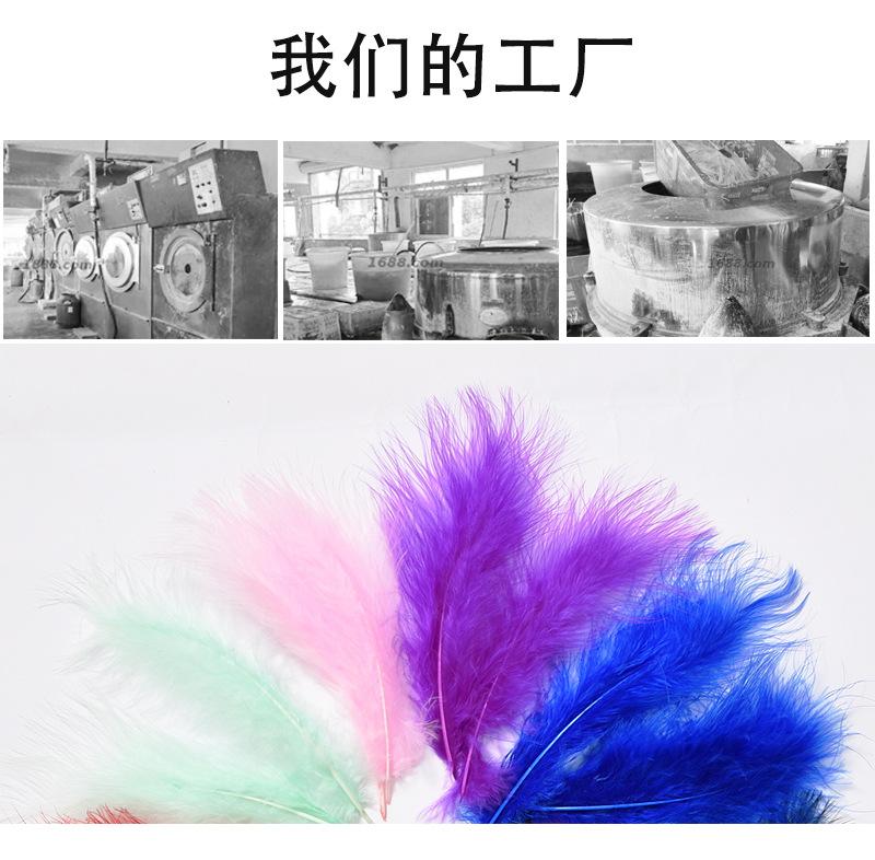羽毛1