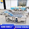 Línea de producción de procesamiento de cangrejos de río completamente automática, línea de ensamblaje para cocinar langostas, equipo para procesar cangrejos de río en Jiangsu