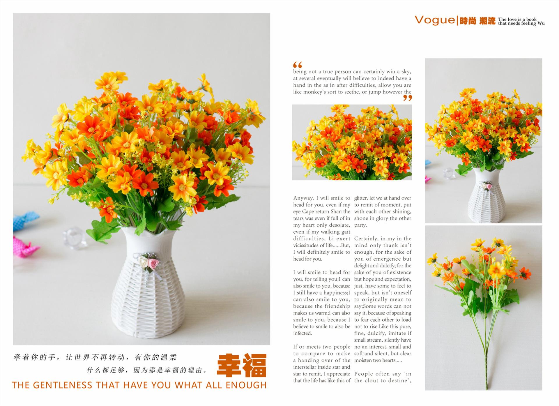 28头跳兰菊