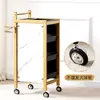 Carrito de Herramientas de Peluquería Carrito de Salón Carrito de Bar Carrito de Belleza Carrito de Salón de Belleza Carrito de Peluquería Carrito de Herramientas Móvil
