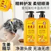 [Shampoo Rei Gengibre Velho] 800ml Grande Capacidade Óleo de Gengibre Velho Controle de Oleosidade Anticaspa Sem Coceira Shampoo de Gengibre