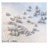 JOUJOU Misma Arte de Uñas Japonés Barroco Perla Anormal Gao Liang Ze Decoraciones de Perlas Naturales Irregulares 10