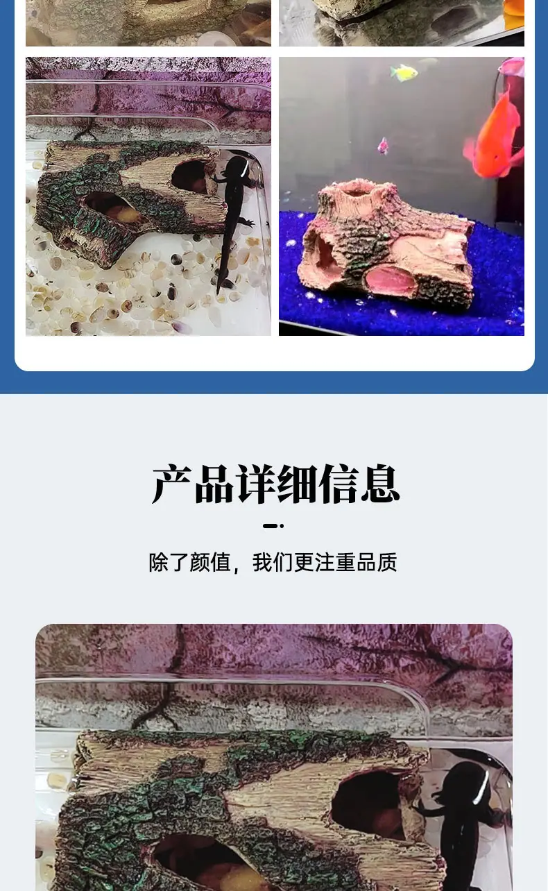 五孔树详情_06.jpg