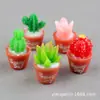 Cactus Suculenta Musgo Casa de Muñecas Micro Decoración Planta Paisaje Resina Accesorios Mini Miniatura Adornos Venta al por Mayor