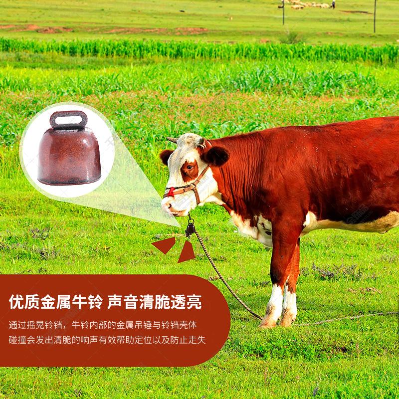 ç  é  ä¸»å ¾01