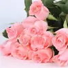 Dropshipping Sucos Varanda Mudas de Rosa Rosas Florindo Flores em Vasos Plantas Trepadeiras Cipós Rosa Plantas Verdes