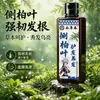 Shampoo de Folha de Cipreste Mianjiang Herbal de Yunnan para Venda por Atacado, Baseado em Plantas Naturais, Refrescante, Controle de Oleosidade, Anticaspa, Volumizador, Nutrição Capilar