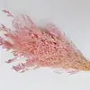 Hierba de Amor Blanqueada Flor Inmortal Hierba de Amor Blanqueada Ramo Seco Material Base Yunnan Venta Directa Ramo Pequeño Amazon