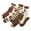 Calcetines Exclusivos Zhuji con Puño para Mujer, Calcetines de Media Pantorrilla, Estilo Primavera y Otoño, Estilo Japonés de Moda, Calcetines Largos Deportivos Otoño e Invierno, Diseño de Oso