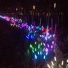 Luz LED de Gota de Agua para Exterior de Fibra de Caña Luz de Caña de Simulación Lámpara de Césped para Patio Lámpara Acrílica de Parque para Villa