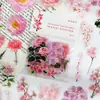 Pegatinas Retro de Plantas y Flores PET Estilo Ins para Diario Transparente Impermeables Material Decorativo para Collage Pegatinas DIY