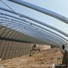 Invernadero Agrícola con Estructura de Tubo de Acero para Cultivo de Frutas y Verduras, Invernadero Sencillo para Siembra de Verduras, Invernadero Cálido de Película Plástica, Invernadero Multicapital