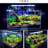 Lâmpada de clipe para aquário lanterna LED de cristal aquário lâmpada LED para plantas aquáticas bitola europeia inserção redonda aquário mini lâmpada de clipe