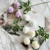 Punto cabello rápido 3 bolas recubiertas decoración del hogar hotel boda flor de simulación flor falsa suave arreglo floral europeo de una sola flor