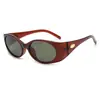 2613 Óculos de Sol Novo Estilo Europeu e Americano, Óculos de Sol Ovais Fashion Cat-Eye, Óculos de Alta Qualidade com Proteção Solar e UV