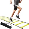 Escalera de agilidad, escalera de cuerda, escalera blanda para entrenamiento de ritmo de fútbol y baloncesto, equipo de entrenamiento de coordinación física para adultos y niños