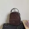 Bolso de Cadena Transfronterizo Pequeño Acolchado Casual Mochila 2026 Nueva Moda Bolso Escolar Bolso de Hombro Único para Viaje Moderno
