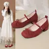 Zapatos de salón para mujer con nuevo lazo correa única tacón grueso trabajo 2026 ballet primavera y otoño versátil falda de gamuza