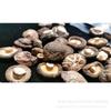 Cogumelos Shiitake Secos Especiais Locais de Yunnan, Cogumelos Shiitake Domésticos, Cogumelos Shiitake a Granel, 250g, Adequado para Todas as Estações