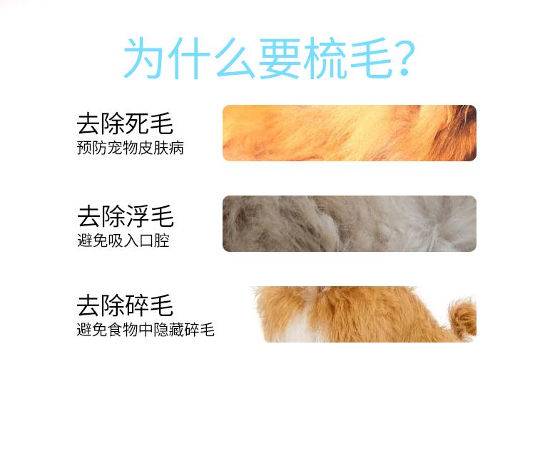 8181009412_1756254533