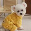 Ropa gruesa y retorcida para perros de cuatro patas, otoño e invierno, para mascotas, oso de peluche, chihuahua, perro pequeño, cálido en invierno ##