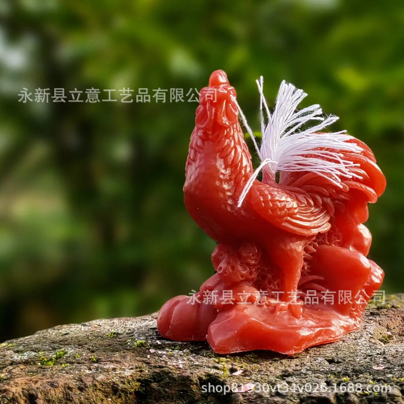 鸡