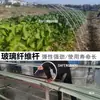 Marco de Invernadero Pequeño en Forma de Arco con Película de Fibra de Vidrio para Fresas, Postes Redondos, Estructura de Invernadero Agrícola de Alta Elasticidad, Postes de Arco de Película para Cultivo de Verduras al Aire Libre