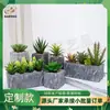 Planta Artificial Bonsái al por Mayor Decoración del Hogar Planta Verde Suculenta Artificial Accesorios para Fotografía Planta en Maceta Artificial Procesamiento y Personalización